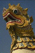 Dragon head